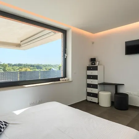 Modern villa Aria with pool&jacuzzi in Visnjan-2